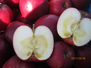 IMG_5808
